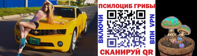 Галлюциногенные грибы Psilocybe  как найти наркотики  Полевской 