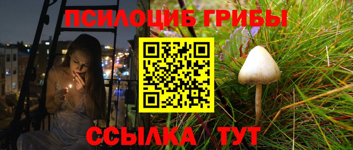 Галлюциногенные грибы мицелий  Галлюциногенные грибы GOLDEN TEACHER  Вход с VPN  Полевской 